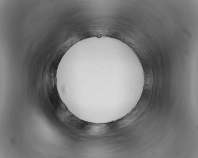 X0000110950334200907171634