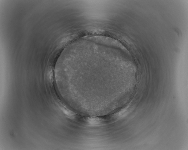 X0000110950336200907171634