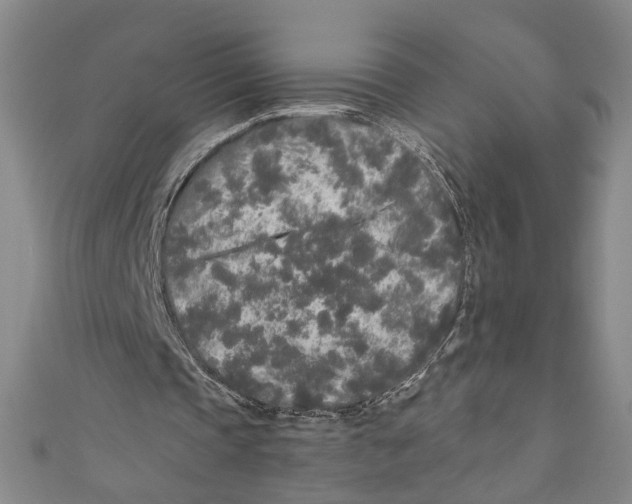 X0000110950337200907171633