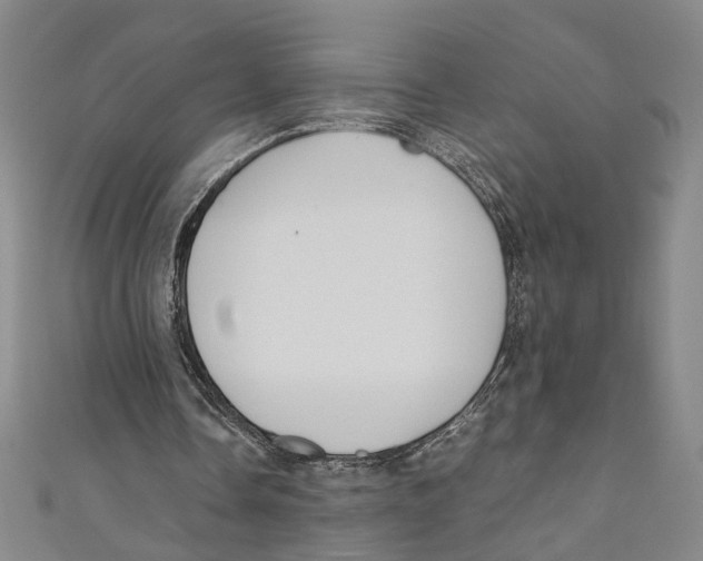 X0000110950338200907171633