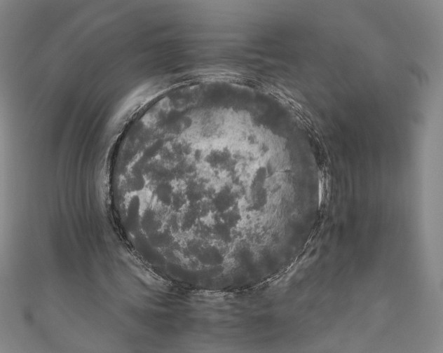X0000110950339200907171633