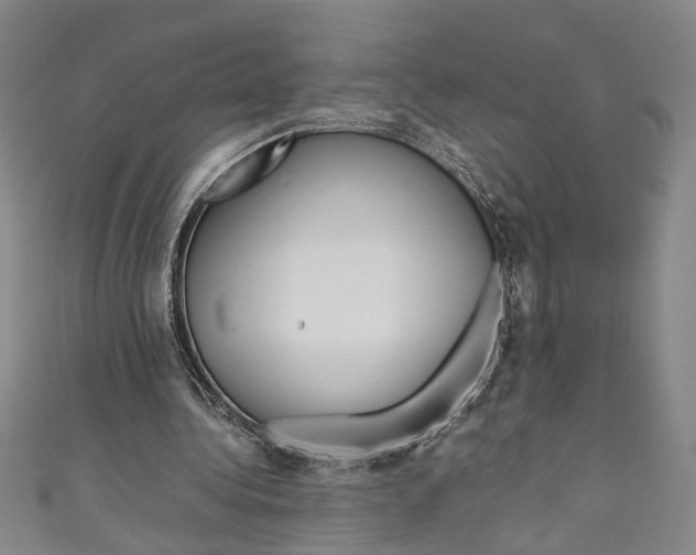 X0000110950340200907171633
