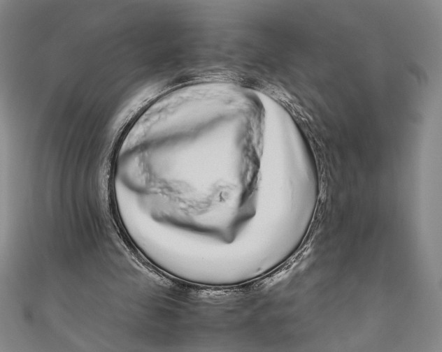 X0000110950341200907171633