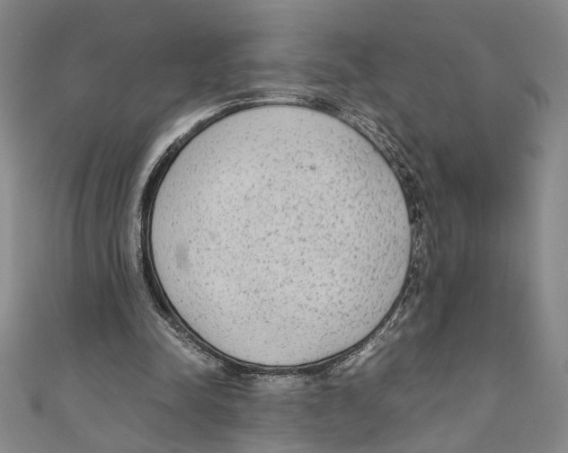 X0000110950342200907171633