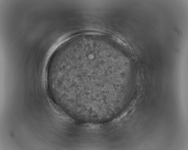 X0000110950343200907171633