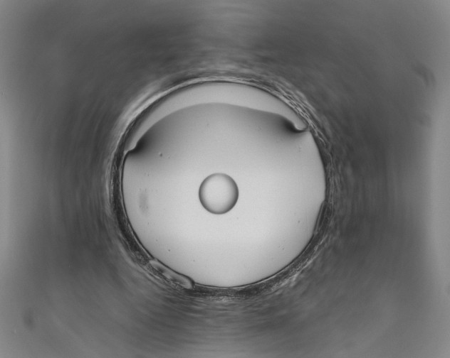 X0000110950344200907171633