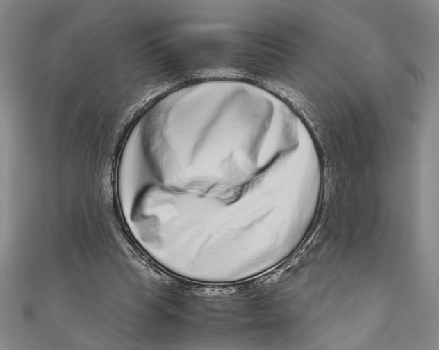 X0000110950345200907171633