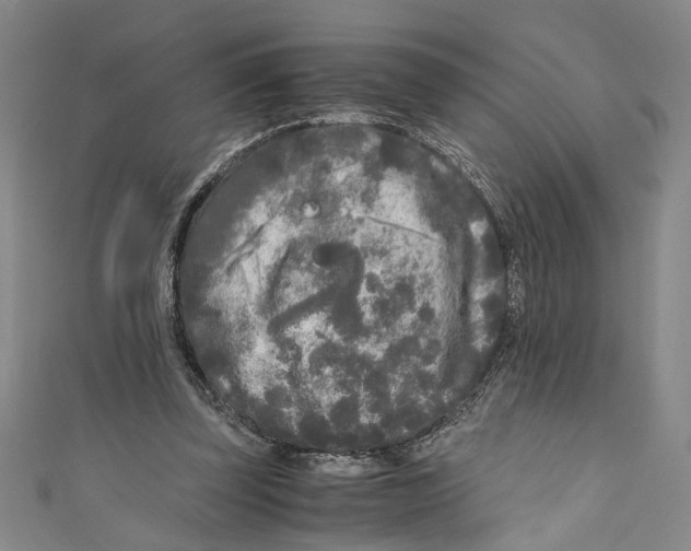 X0000110950347200907171633