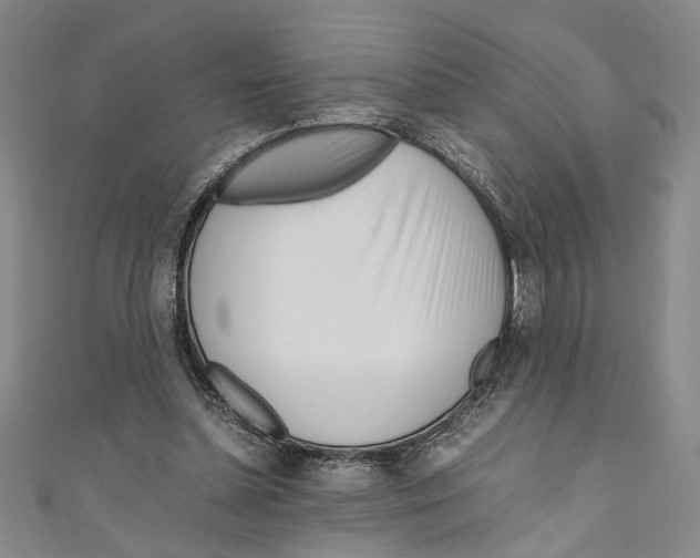 X0000110950348200907171633