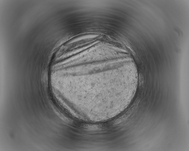 X0000110950349200907171633