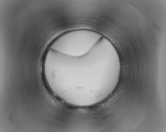 X0000110950350200907171633