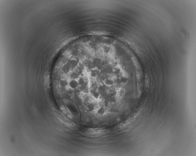 X0000110950351200907171633