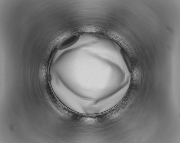 X0000110950352200907171633