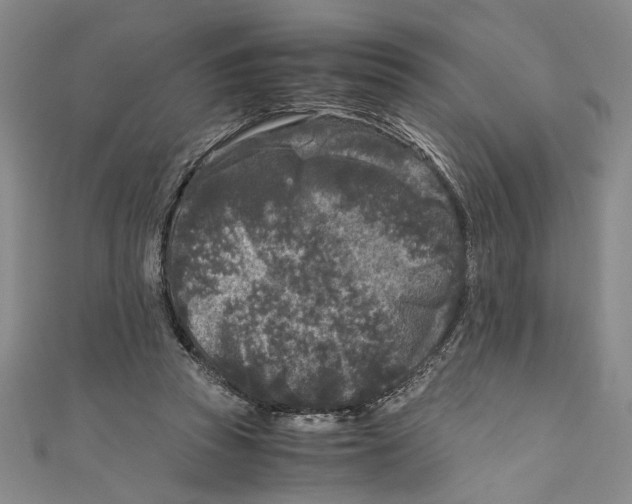 X0000110950353200907171633
