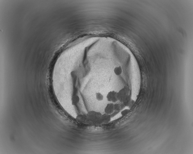 X0000110950354200907171633