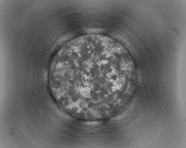 X0000110950357200907171633