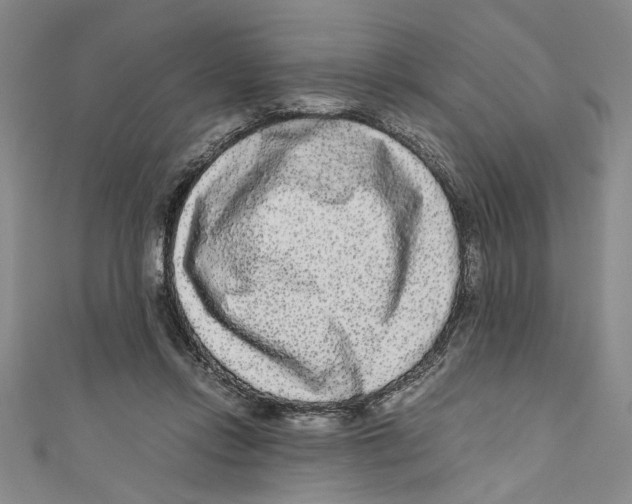 X0000110950358200907171633
