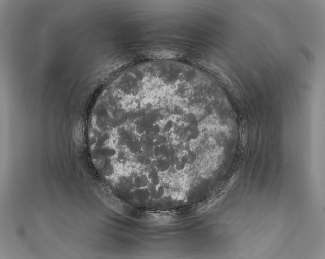 X0000110950359200907171633