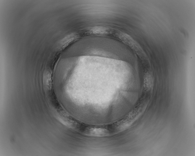 X0000110950360200907171633