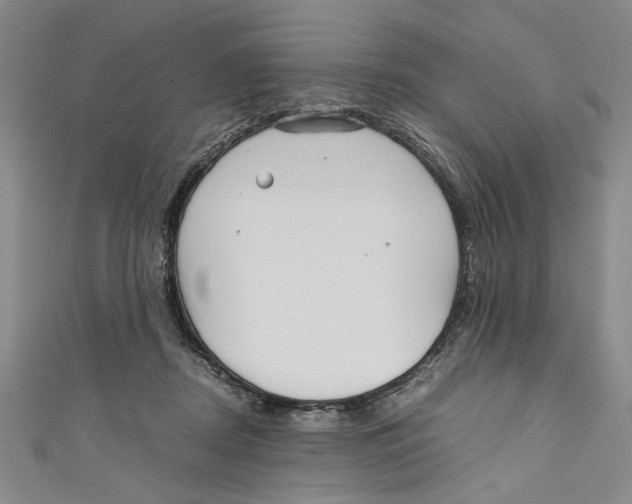 X0000110950362200907171633