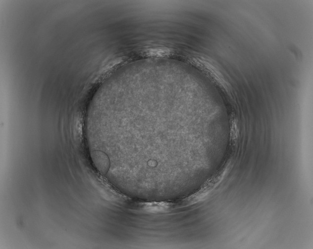 X0000110950363200907171633