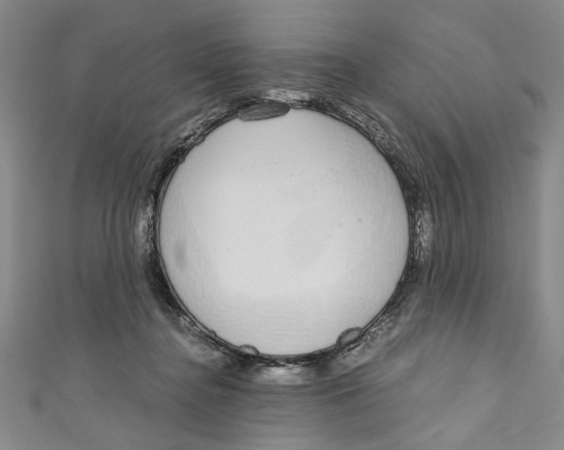 X0000110950364200907171633