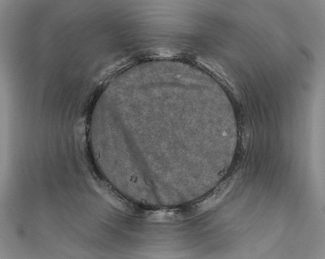X0000110950366200907171633