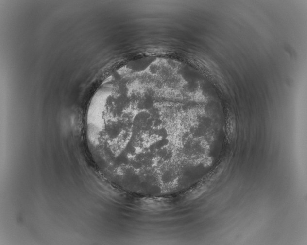X0000110950367200907171633