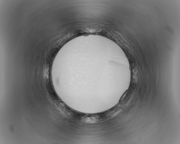 X0000110950368200907171633