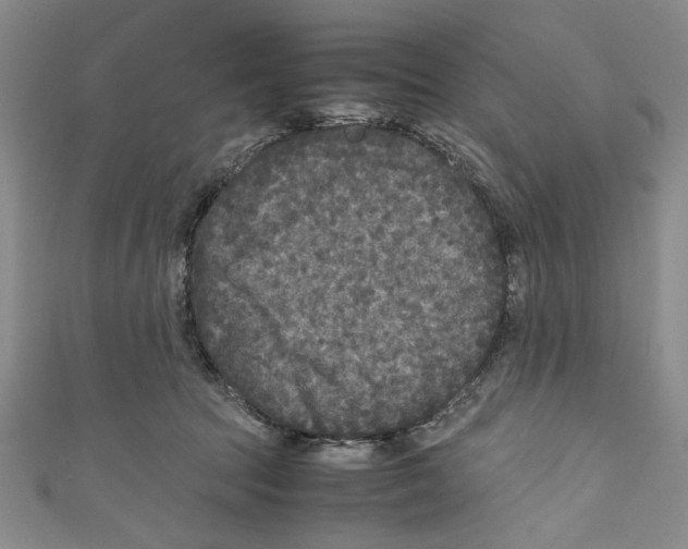 X0000110950369200907171633