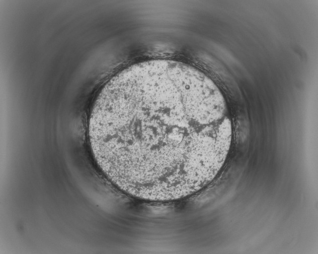 X0000110950370200907171633