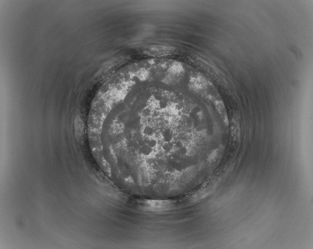 X0000110950371200907171633