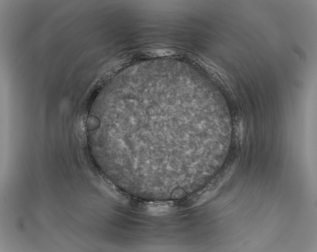 X0000110950373200907171633