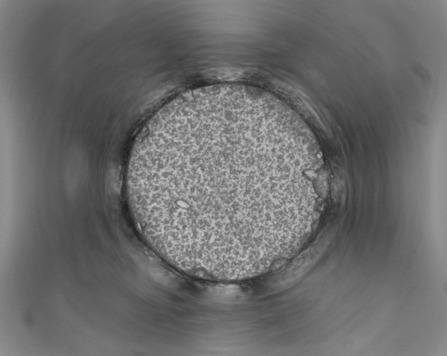 X0000110950374200907171633
