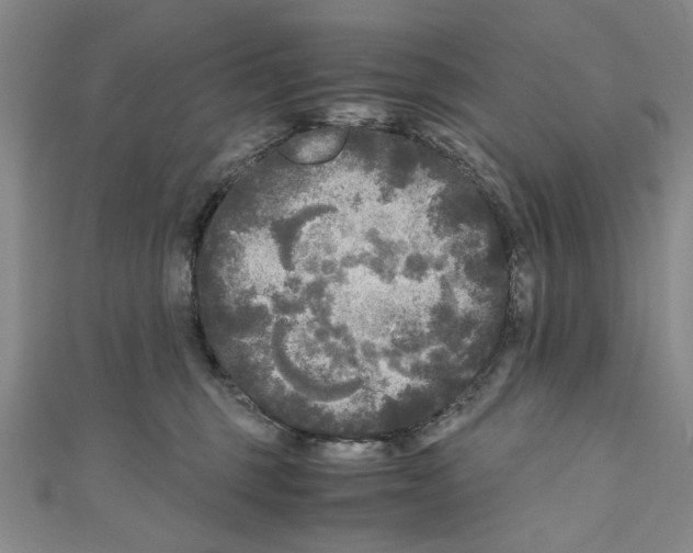 X0000110950375200907171633