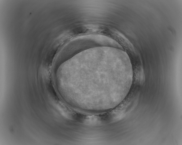 X0000110950376200907171633