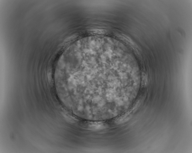X0000110950377200907171634