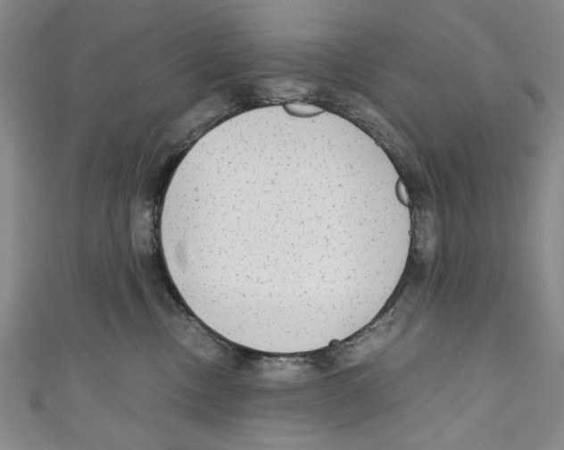 X0000110950378200907171634