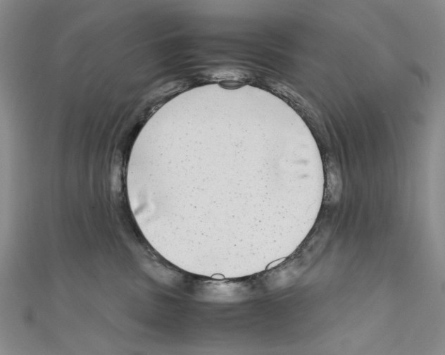 X0000110950379200907171634
