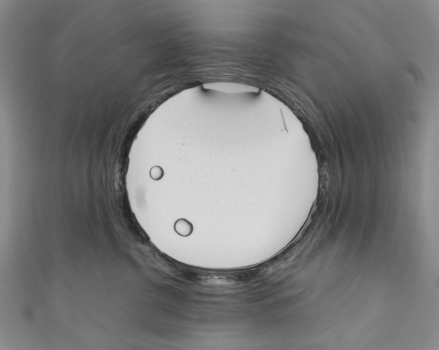 X0000110950380200907171634