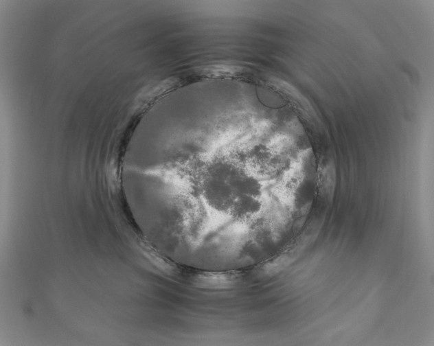 X0000110950381200907171634