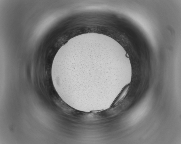 X0000110950382200907171634