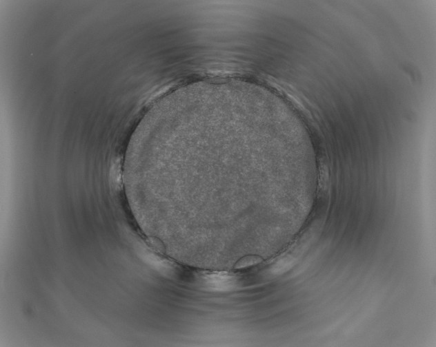 X0000110950383200907171634