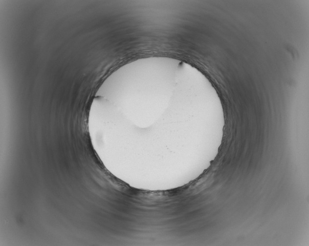 X0000110950384200907171634