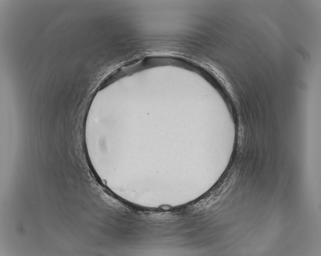 X0000110950385200907171633