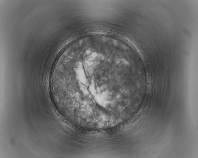 X0000110950386200907171633