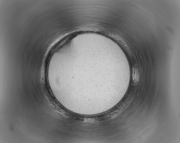X0000110950388200907171633