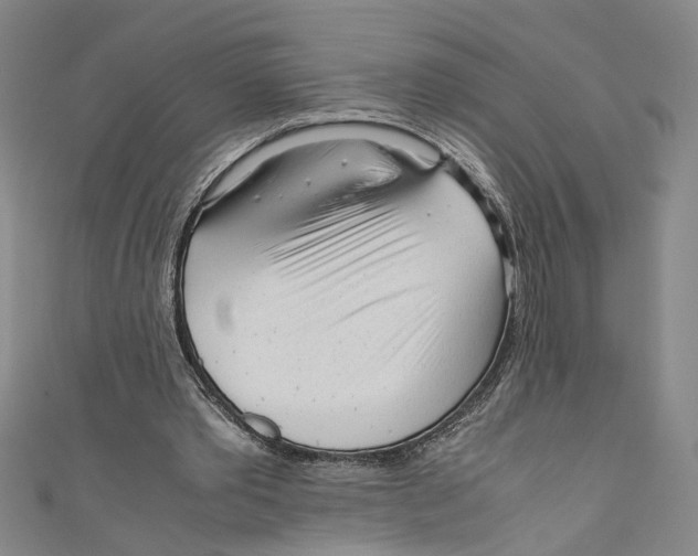 X0000110950389200907171633