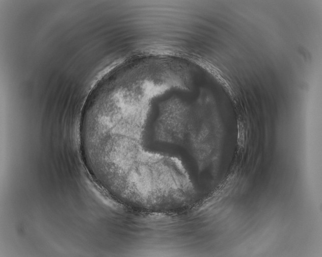 X0000110950390200907171633