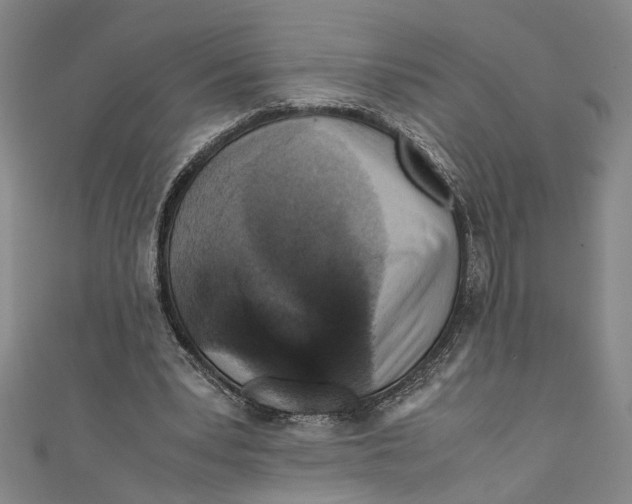 X0000110950391200907171633